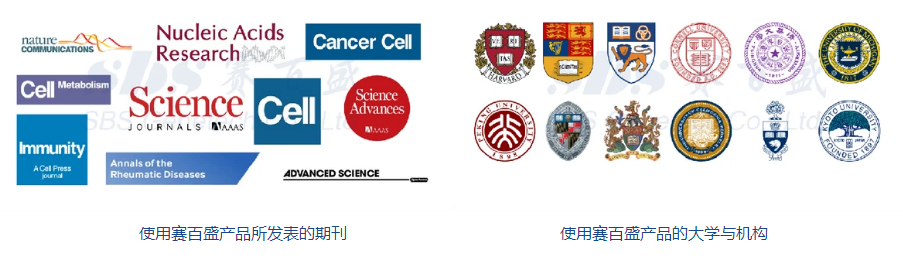 Bridged Nucleic Acid (BNA) 合成