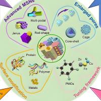 氨基功能化的介孔二氧化硅纳米粒被pH响应性聚合物Eudragit S100修饰