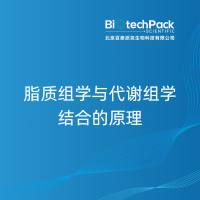 脂质组学与代谢组学结合的原理