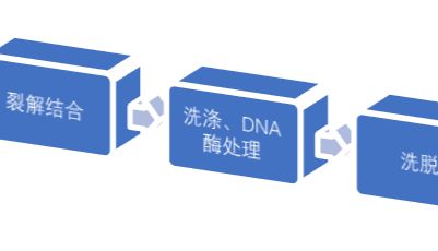 RNA提取的用途是什么？