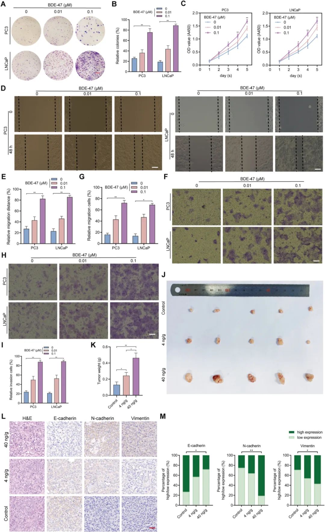 Q1区7.7分，国自然热点研究案例：网络毒理学+分子对接+乳酸化+实验机制解析！！！