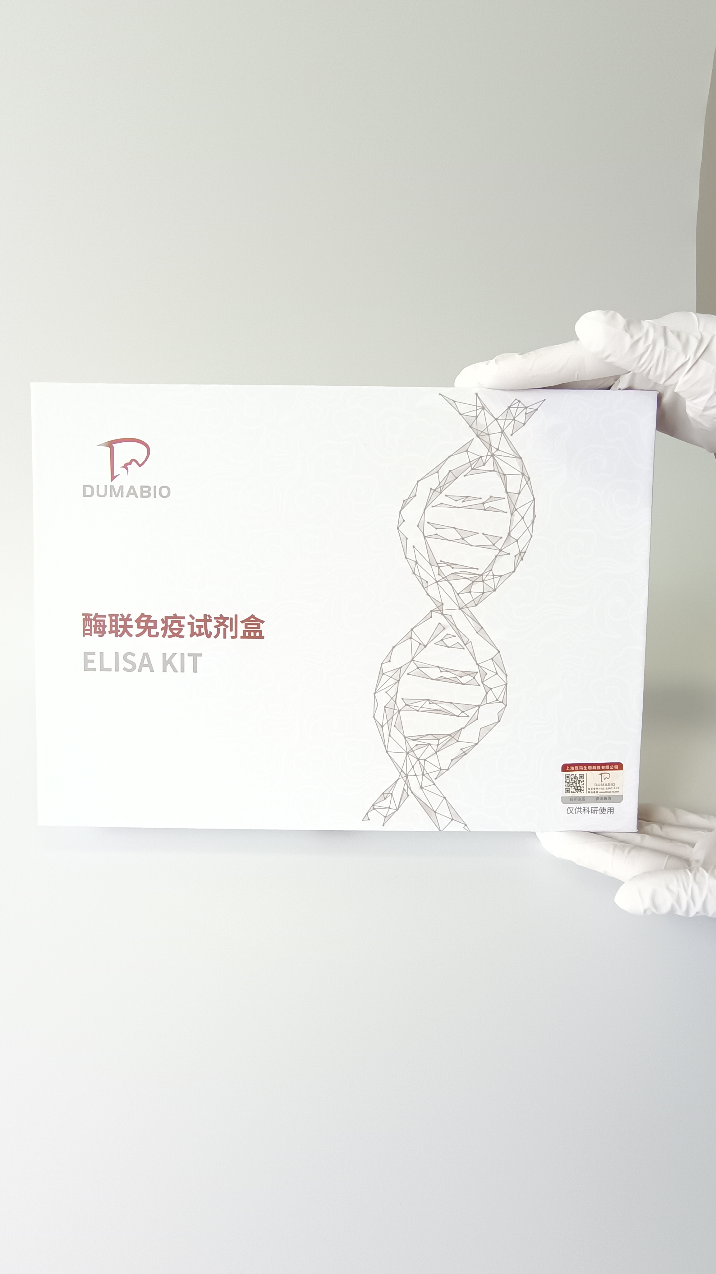 牛溶质载体家族16成员8(SLC16A8)酶联免疫试剂盒