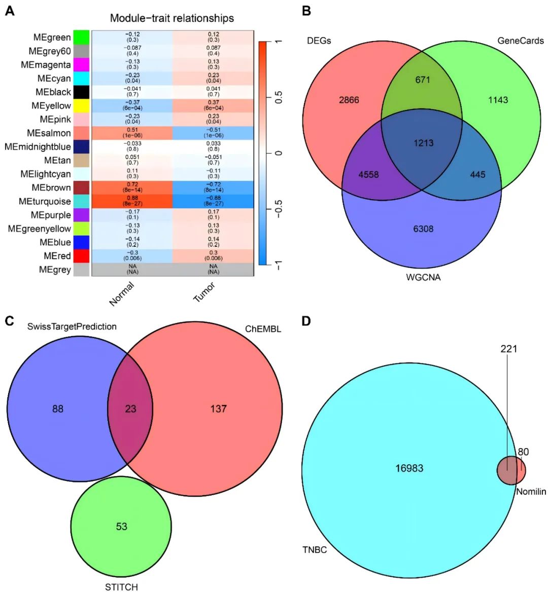 Q1区6分佳绩！网络药理学、分子对接和实验验证，快来模仿吧！