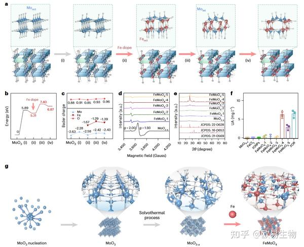 项目文章Nat Nanotechnol | 上海交大凌代舜/李方园教授团队新作合成人工代谢酶实现肿瘤特异性代谢治疗 - 企业动态 - 丁香通