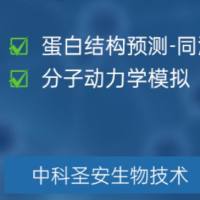 分子动力学模拟技术