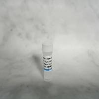 重组人干扰素-γ