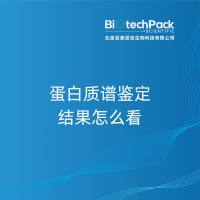 蛋白质谱鉴定结果怎么看