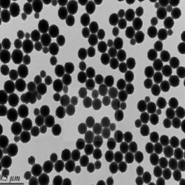 Anti-DYKDDDDK琼脂糖磁珠 