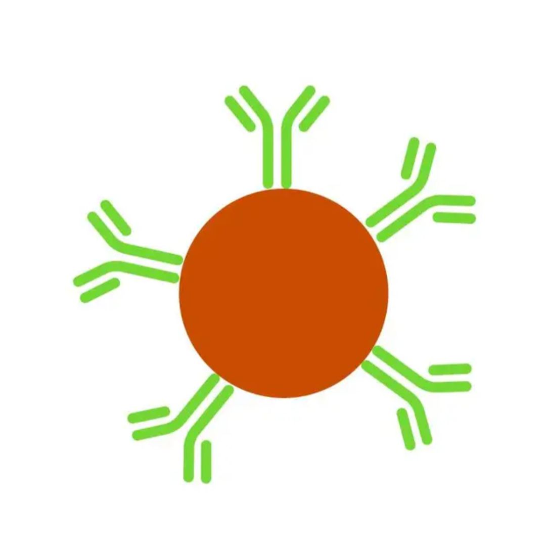AlphaLISA Anti-DIG Acceptor Beads