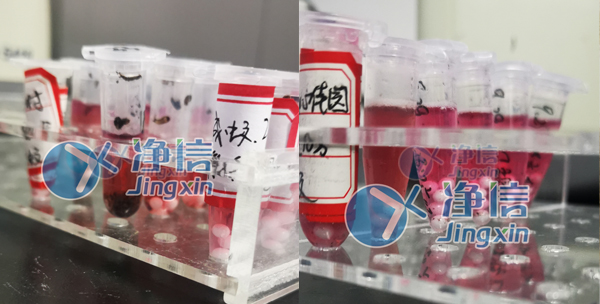 冷冻研磨仪研磨蚊子进行疾病预防与监测实验操作