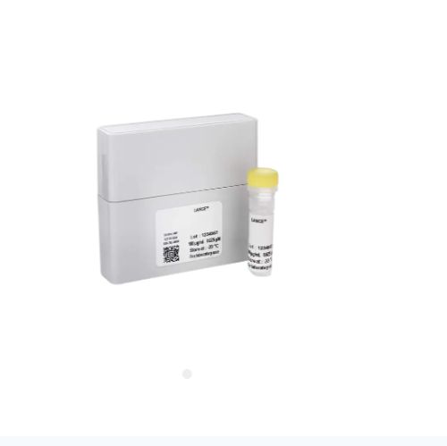 EU-ANTI-P-4E-BP1 (THR37/46)