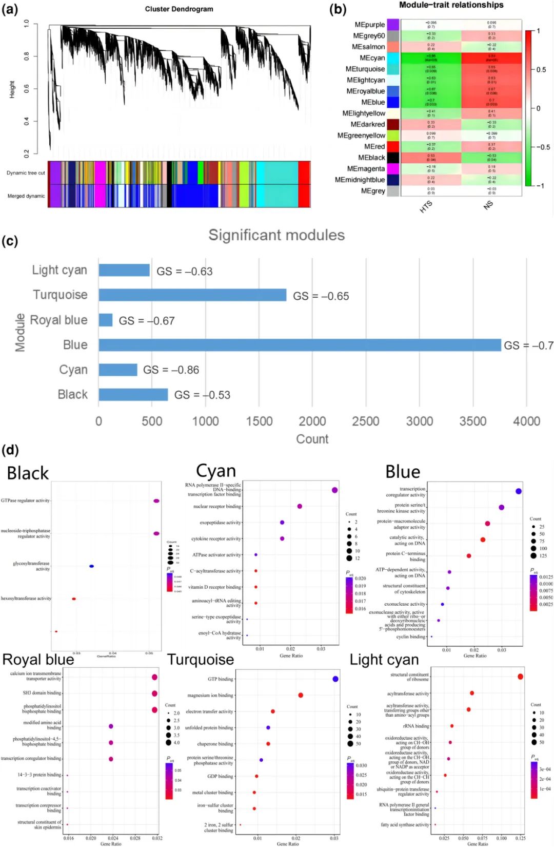 利用网络药理学发现治疗增生性疤痕的潜在药物