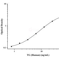 人甲状腺球蛋白(TG)ELISA试剂盒