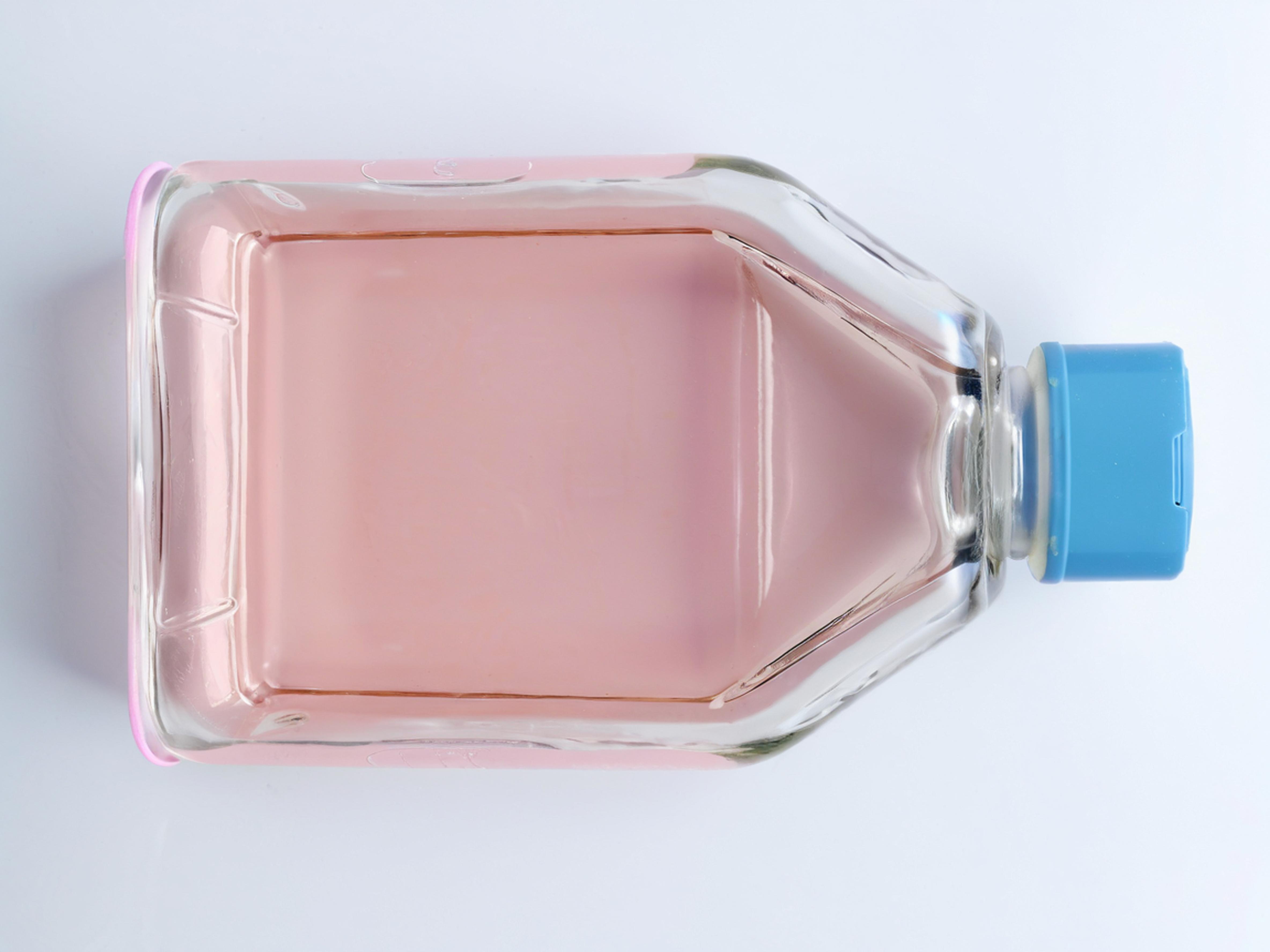 A875 细胞专用培养基