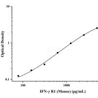 小鼠干扰素-γ受体1(IFN-γ R1)ELISA试剂盒