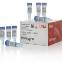 Zeocin™ 筛选试剂（博来霉素）