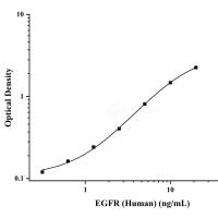 人表皮生长因子受体(EGFR)ELISA试剂盒