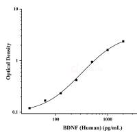 人脑源性神经营养因子(BDNF)ELISA试剂盒