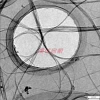 透射电镜钼网超薄碳膜超薄纯碳膜超薄微栅膜