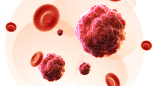 HUABIO干货 | 免疫细胞的起源、分化过程以及其在免疫应答中的作用