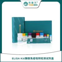 Human Testosterone/T ELISA Kit（人睾酮）ELISA试剂盒