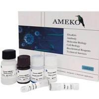 小鼠白介素4(IL-4ELISA Kit），AE90245Mu-48T