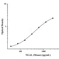 小鼠中性粒细胞明胶酶相关脂质运载蛋白(NGAL)ELISA试剂盒