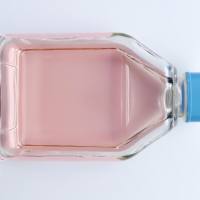 小鼠中脑多巴胺神经元细胞MN9D