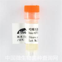 哈维氏弧菌BB170