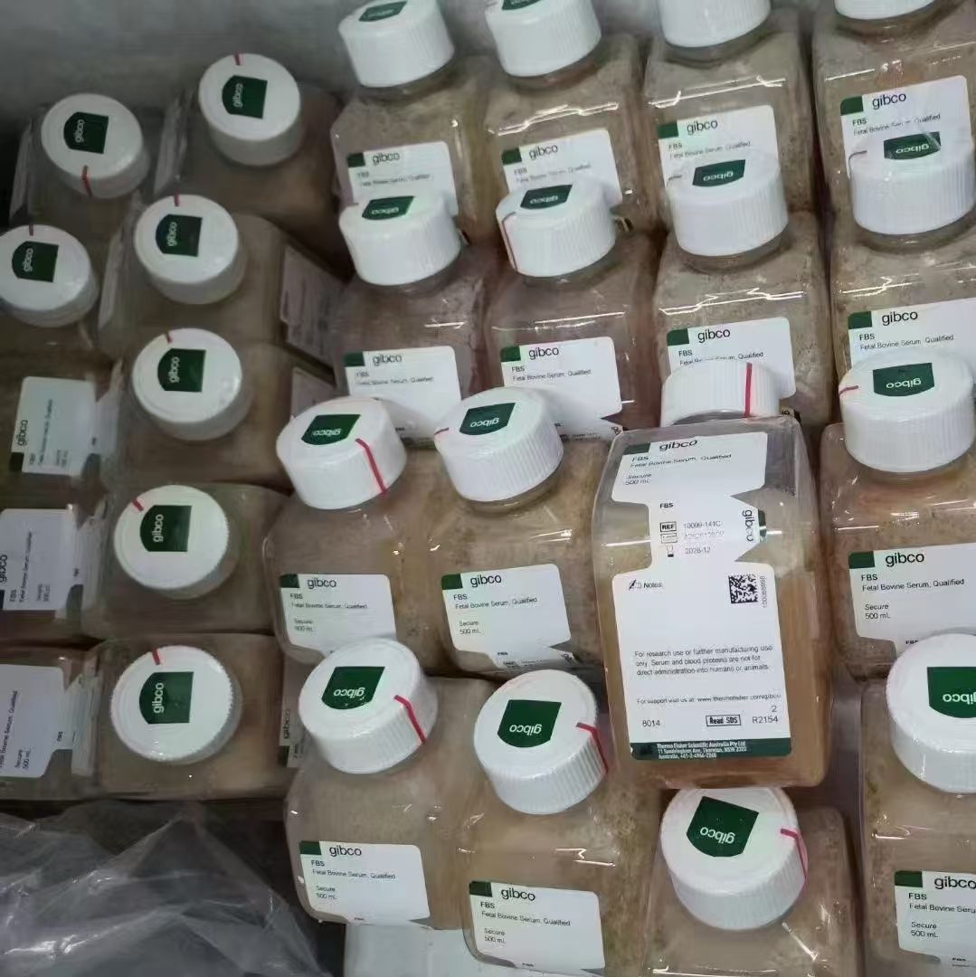 胎牛血清,澳大利亚,10099-141C