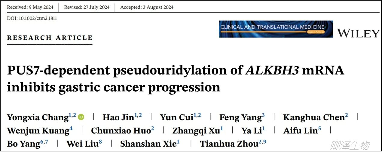 Clin Transl Med. | Polysome技术助力揭示胃癌治疗新靶点