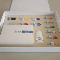 牛胰岛素(INS)酶联免疫试剂盒