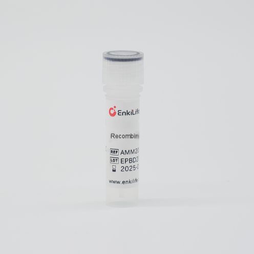 Recombinant Human CD59 (C-6His)