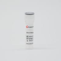 Recombinant Mouse LTBR (C-Fc)