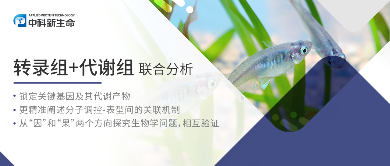 项目文章Environ Sci Technol | 环境领域顶刊！广州大学转录+代谢联合揭示盐度调控青鳉鱼砷甜菜碱合成