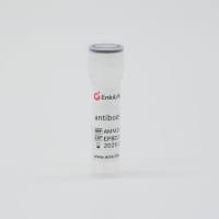 KLF4 Rabbit Monoclonal Antibody