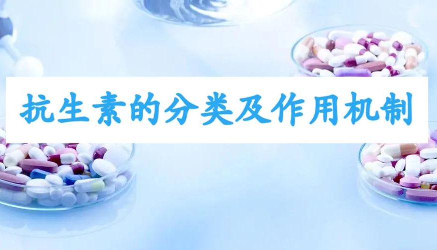 抗生素的分类及作用机制