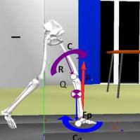 BTS P-6000 三维测力台