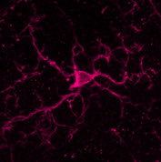 1417025382902799.png 1417025382902799.png