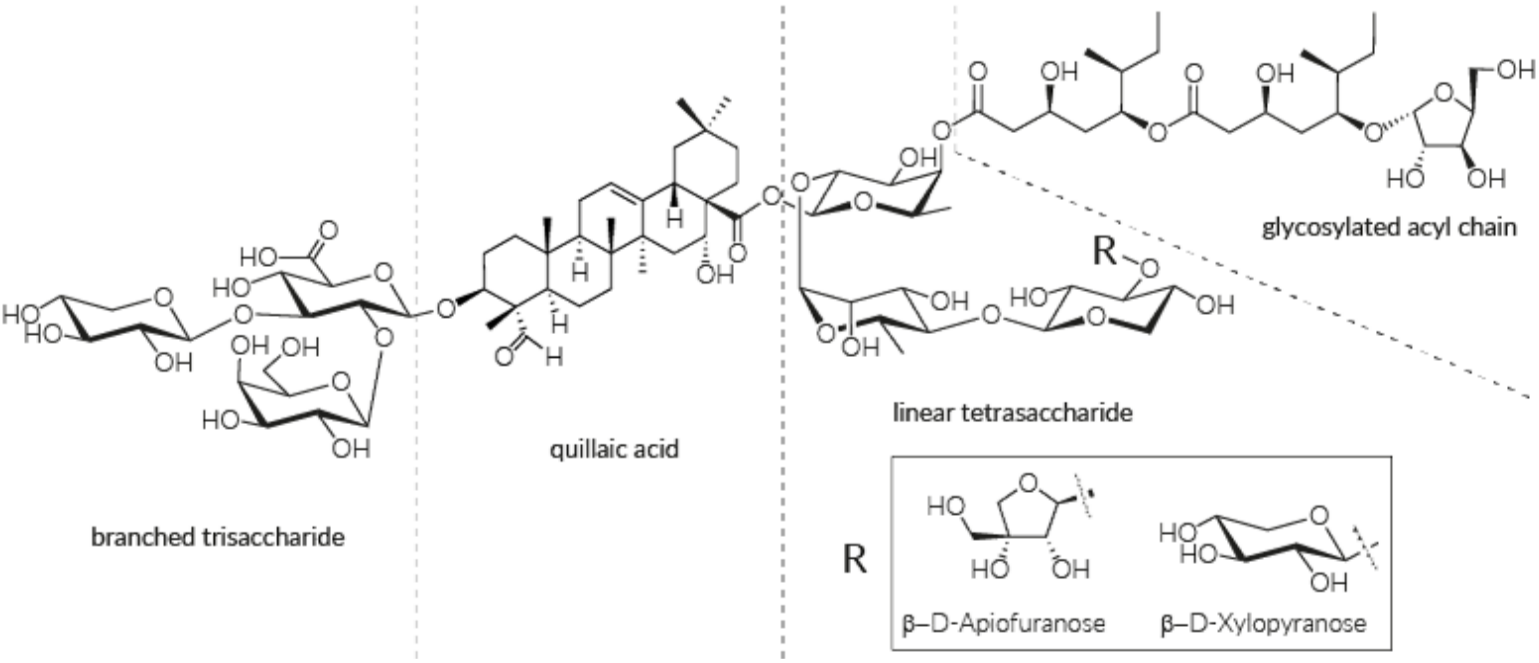 InvivoGen新品上线——QS-21 VacciGradeTM
