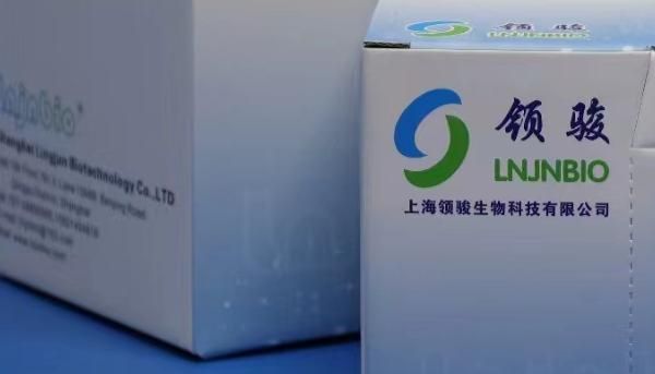 如何使用磁珠法提取RNA？