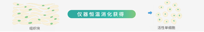产品细节图片2