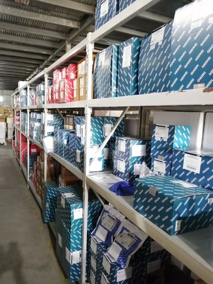 Qiagen货号74106细胞组织RNA提取试剂盒13611