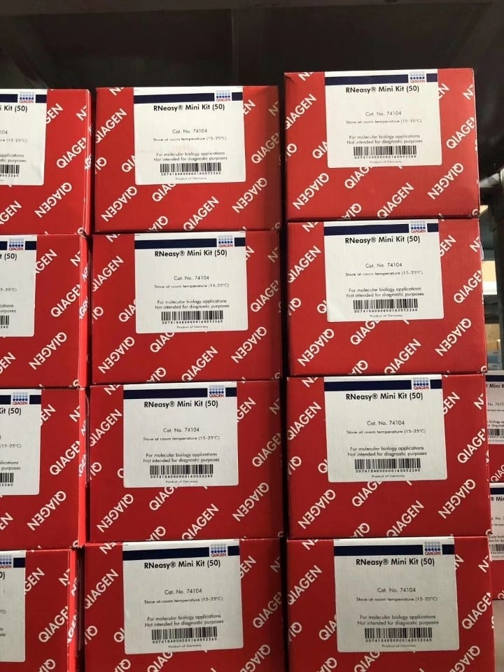 Qiagen货号74104细胞组织RNA提取试剂盒13611