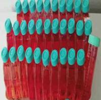 小鼠鳞状细胞癌细胞（SCC-7)钜惠上新