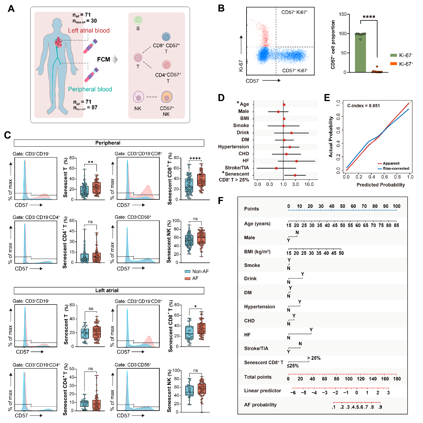 衰老的 CD8+ T细胞：心房颤动的一个新风险因素