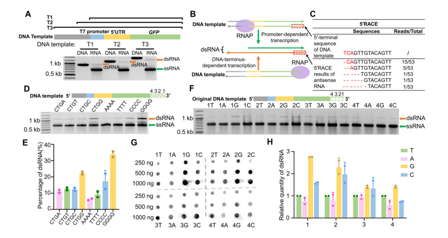 文献集锦│2024年三季度Clinx勤翔ChemiScope系列成像产品应用摘要