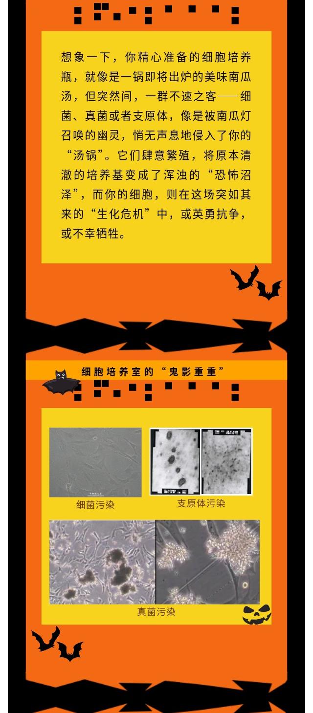 新闻图片2