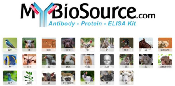 MyBiosource重组蛋白和重组蛋白单/多克隆抗体ELISA试剂盒一站式促销