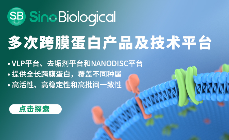 减肥降糖两不误，这仨膜蛋白靶点有前途：GLP-1R、GIPR、GCGR